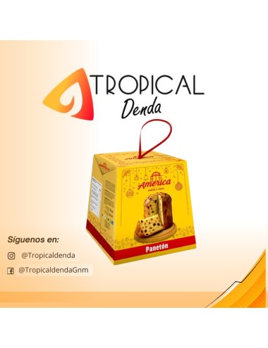 PANETON  AMÉRICA 900GRAMOS